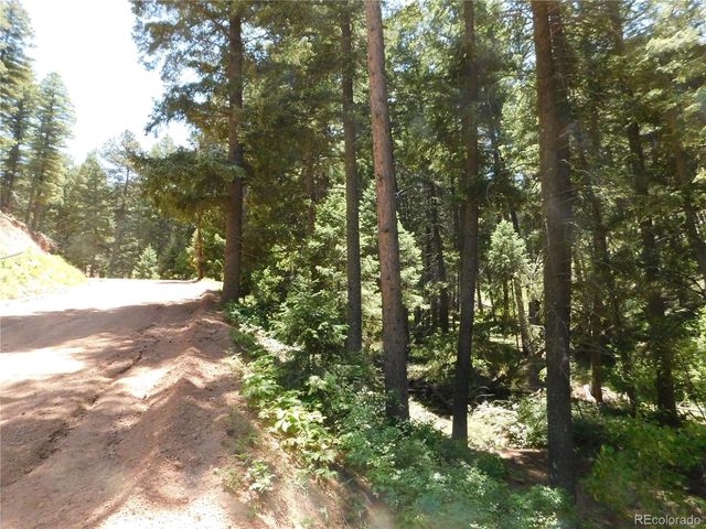 13371 Spruce Creek Circle, Larkspur, CO 80118