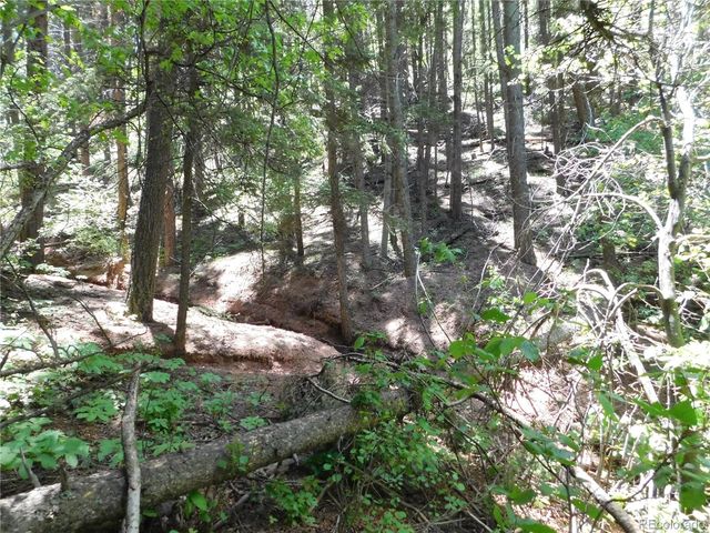 13371 Spruce Creek Circle, Larkspur, CO 80118