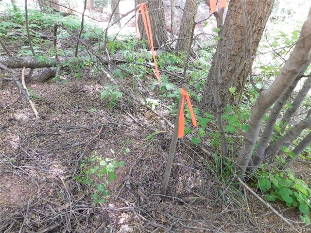 13371 Spruce Creek Circle, Larkspur, CO 80118