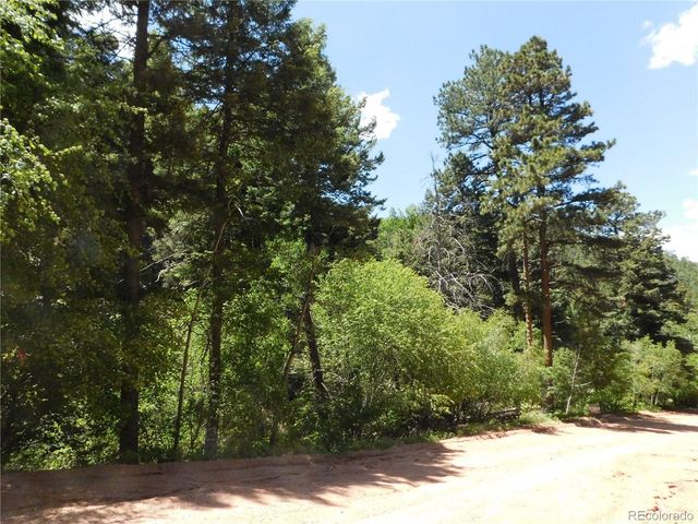 13371 Spruce Creek Circle, Larkspur, CO 80118