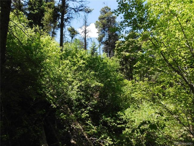 13371 Spruce Creek Circle, Larkspur, CO 80118