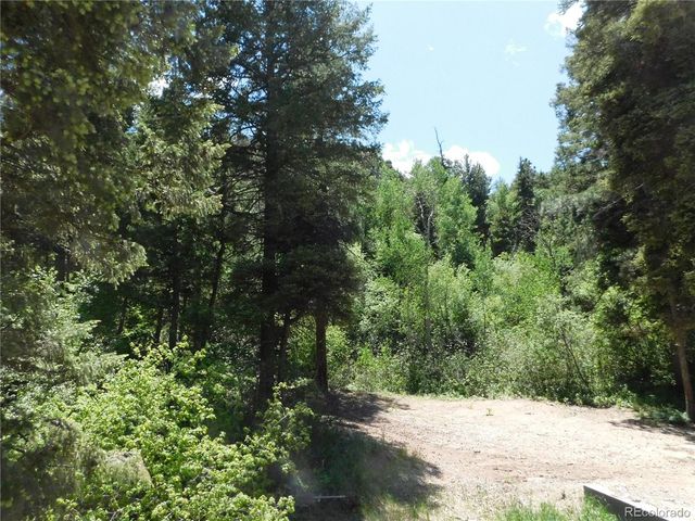 13371 Spruce Creek Circle, Larkspur, CO 80118