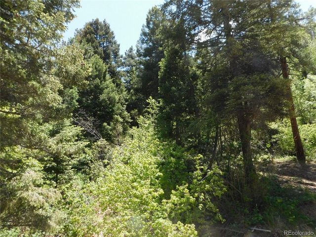 13371 Spruce Creek Circle, Larkspur, CO 80118