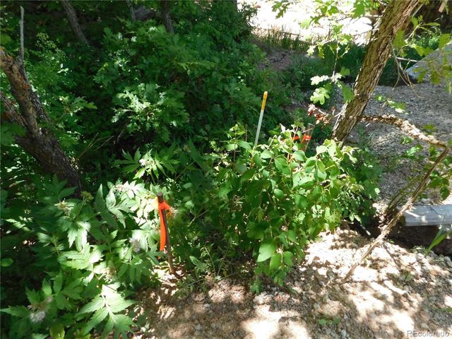 13371 Spruce Creek Circle, Larkspur, CO 80118