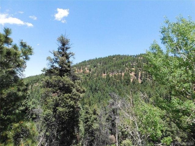 13371 Spruce Creek Circle, Larkspur, CO 80118