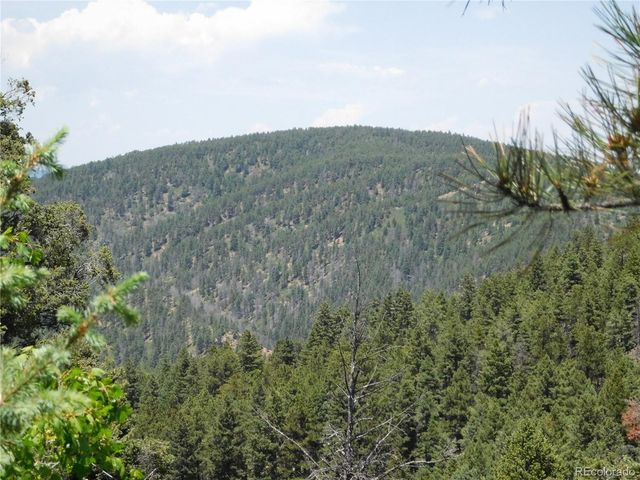 13371 Spruce Creek Circle, Larkspur, CO 80118