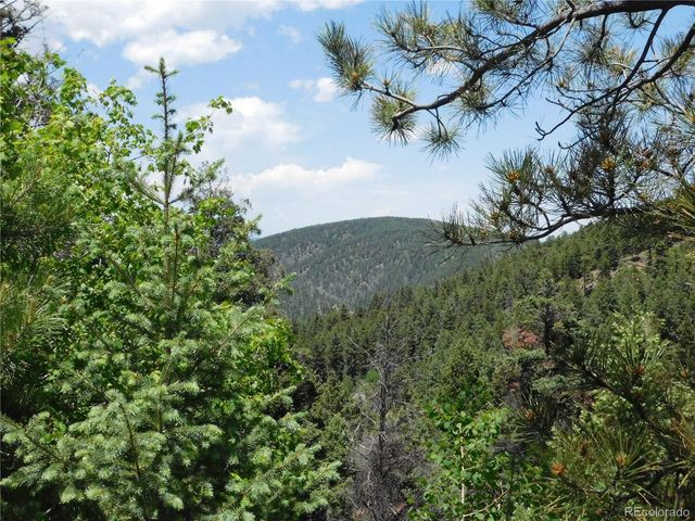 13371 Spruce Creek Circle, Larkspur, CO 80118