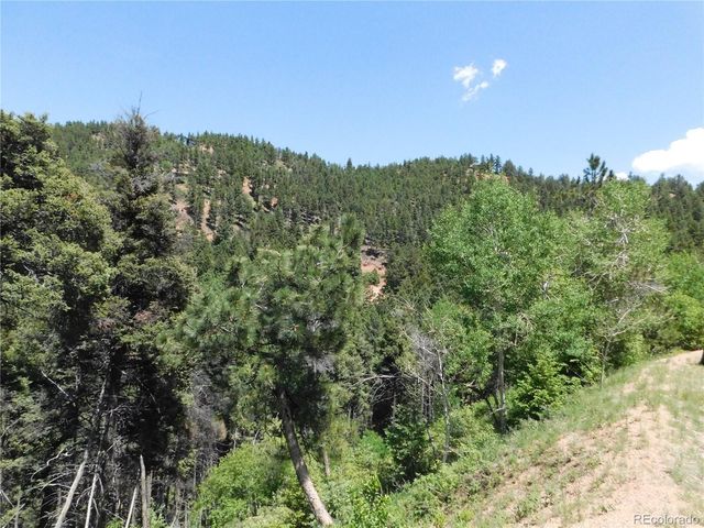 13371 Spruce Creek Circle, Larkspur, CO 80118