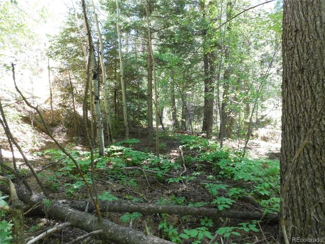 13371 Spruce Creek Circle, Larkspur, CO 80118