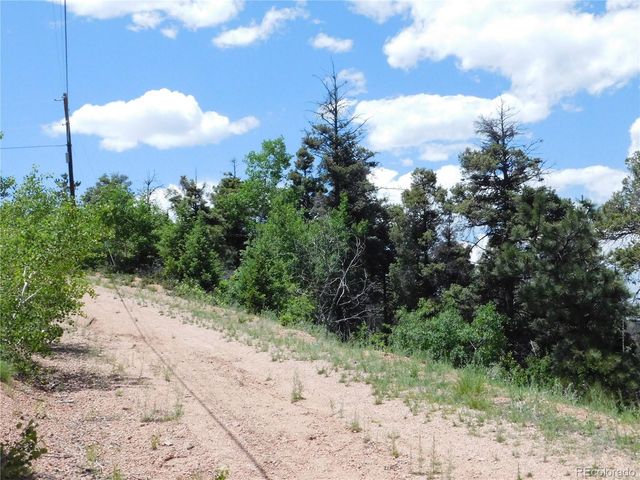 13371 Spruce Creek Circle, Larkspur, CO 80118