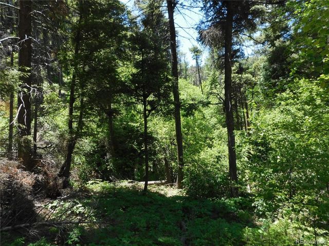 13371 Spruce Creek Circle, Larkspur, CO 80118