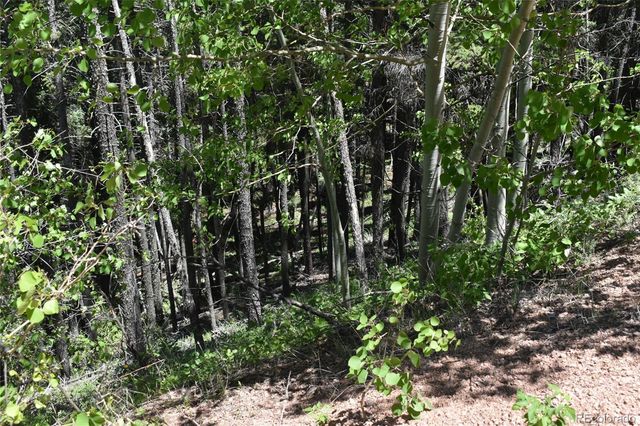 13371 Spruce Creek Circle, Larkspur, CO 80118