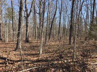 3 Deerhead Road 3, Dunlap, TN 37327