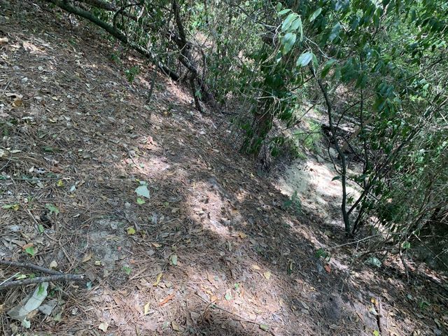 504 John Kolb Road, Lufkin, TX 75901