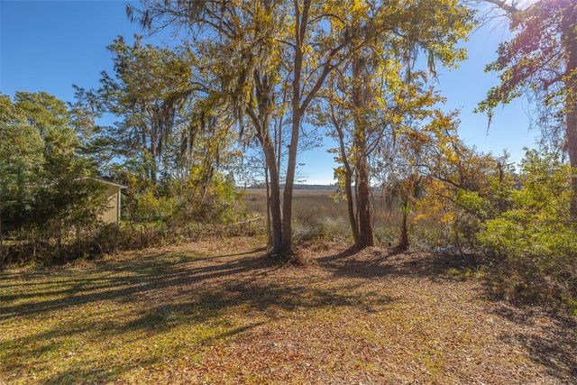 1156 Snows Lane, Darien, GA 31305