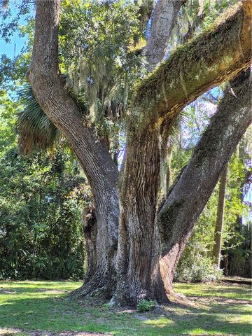 1156 Snows Lane, Darien, GA 31305