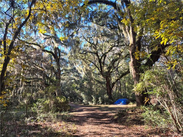 1156 Snows Lane, Darien, GA 31305