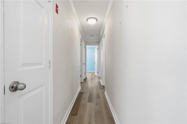 443 Appian AVE, Virginia Beach, VA 23452