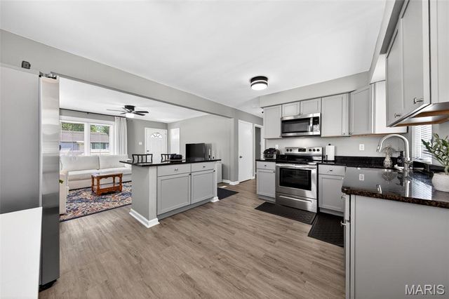9546 Theodosia Avenue, Overland, MO 63114