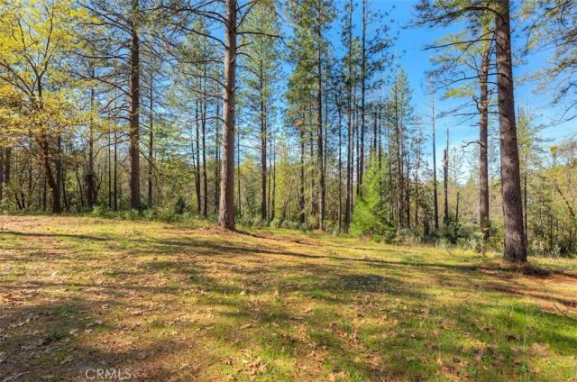 179 Elams Ranch, Oroville, CA 95966