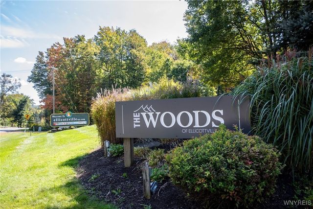 109 Woods Road, Ellicottville, NY 14731