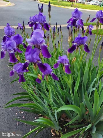 5111 WYNDHAM ROSE COVE, Centreville, VA 20120