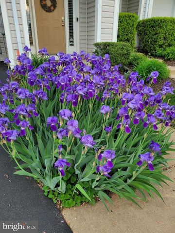 5111 WYNDHAM ROSE COVE, Centreville, VA 20120