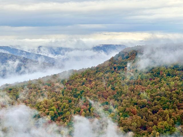 985 Sunset Circle, Jasper, TN 37347