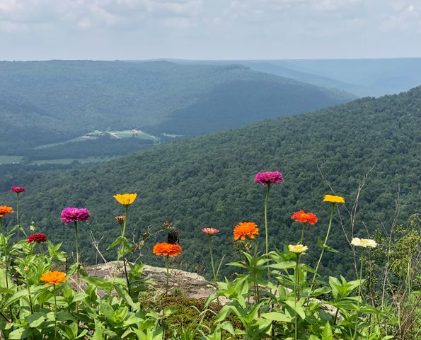 985 Sunset Circle, Jasper, TN 37347