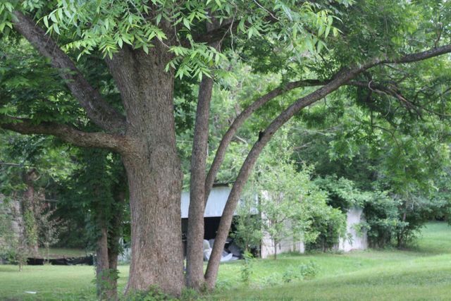 30 Moss Hill Lane, Point Blank, TX 77364
