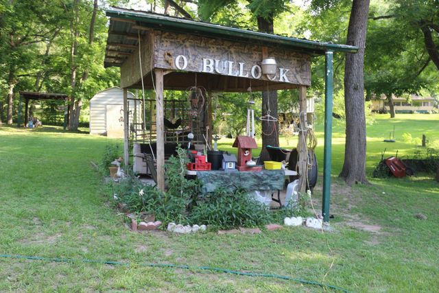 30 Moss Hill Lane, Point Blank, TX 77364