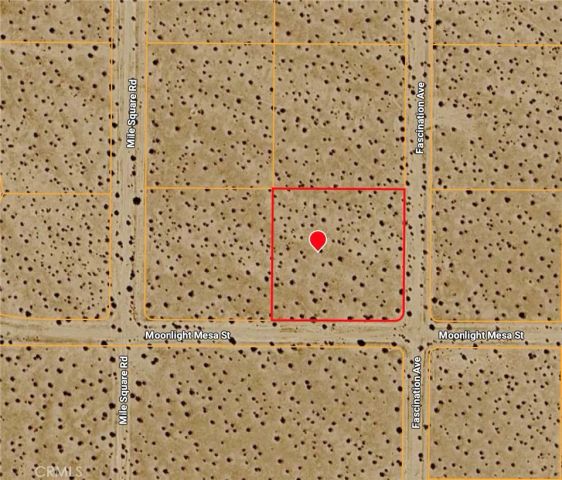 54 Fascination, Joshua Tree, CA 92252