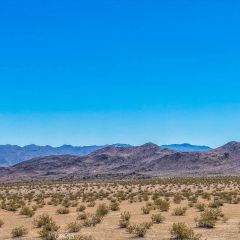 54 Fascination, Joshua Tree, CA 92252