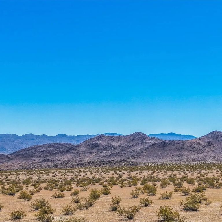 54 Fascination, Joshua Tree, CA 92252