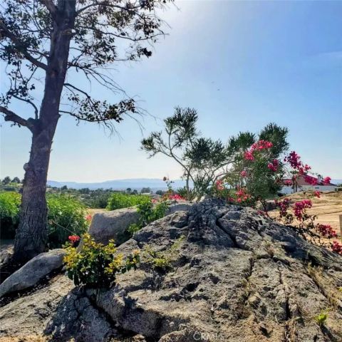 39220 Gray Squirrel Road, Temecula, CA 92592