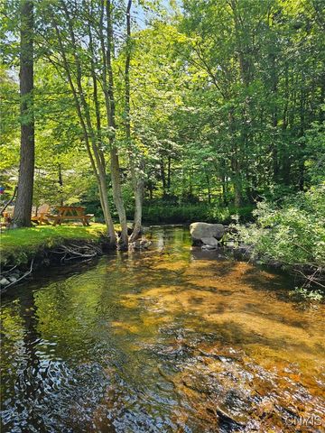 1061 North Osceola Road, Osceola, NY 13437