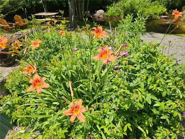 1061 North Osceola Road, Osceola, NY 13437