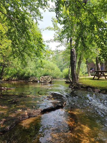 1061 North Osceola Road, Osceola, NY 13437