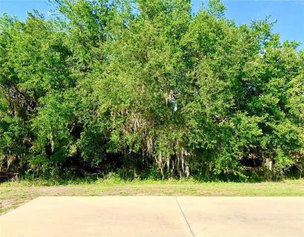 4933 SE 92ND BOULEVARD, Webster, FL 33597