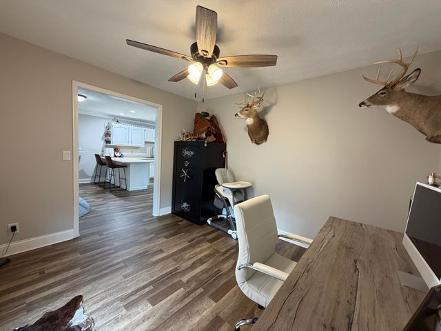 1000 Double M Lane, Mt Sterling, KY 40353