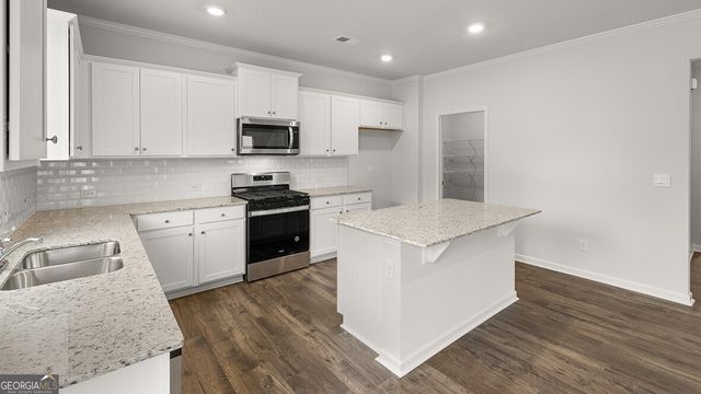 91 Cyrilla Walk, Dallas, GA 30132