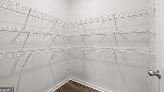 91 Cyrilla Walk, Dallas, GA 30132