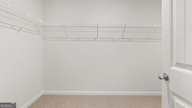 91 Cyrilla Walk, Dallas, GA 30132