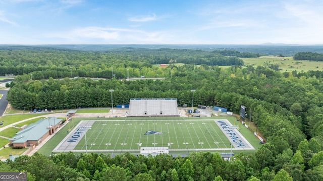 91 Cyrilla Walk, Dallas, GA 30132