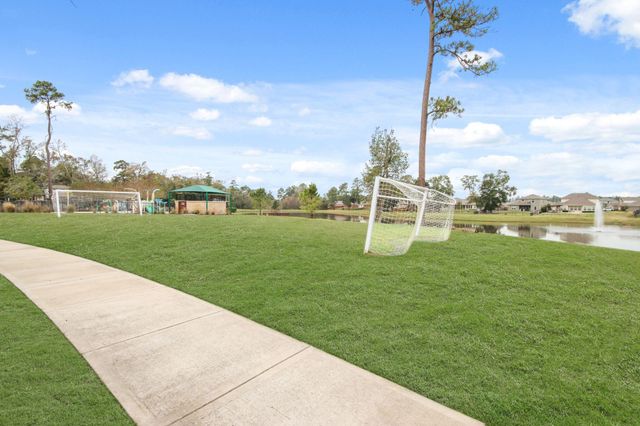 286 Brazen Forest Trail, Magnolia, TX 77354