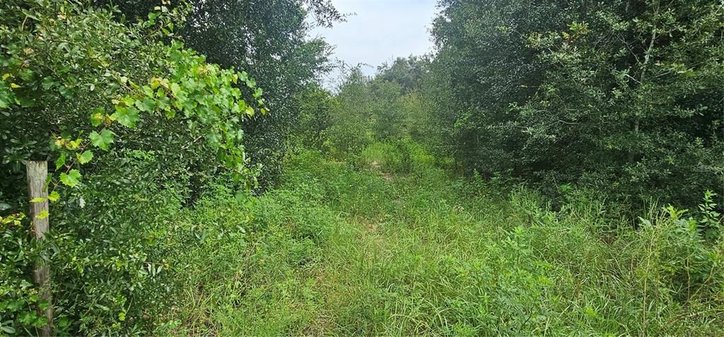 12023 HOWEY CROSS ROAD, Clermont, FL 34715