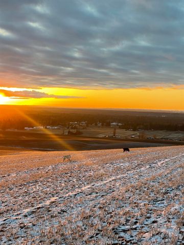 14211 S Keeney Rd, Spokane, WA 99224