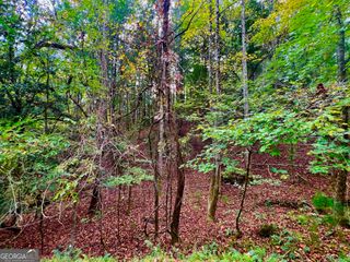 48 Cascade Court, Rockmart, GA 30153