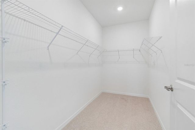 6341 JENSEN VIEW AVENUE, Apollo Beach, FL 33572