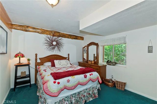 29729 Katharine, Cedar Glen, CA 92321